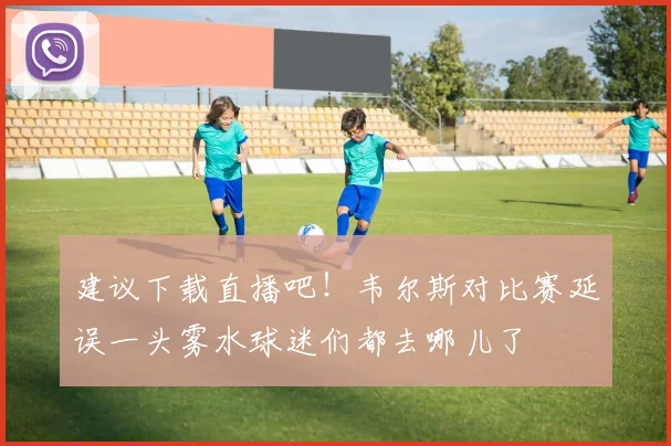 建议下载直播吧！韦尔斯对比赛延误一头雾水球迷们都去哪儿了