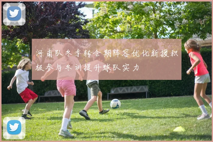 河南队冬季转会期阵容优化新援积极参与冬训提升球队实力