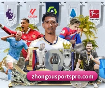 中欧体育 APP | ZOTYSPORTS